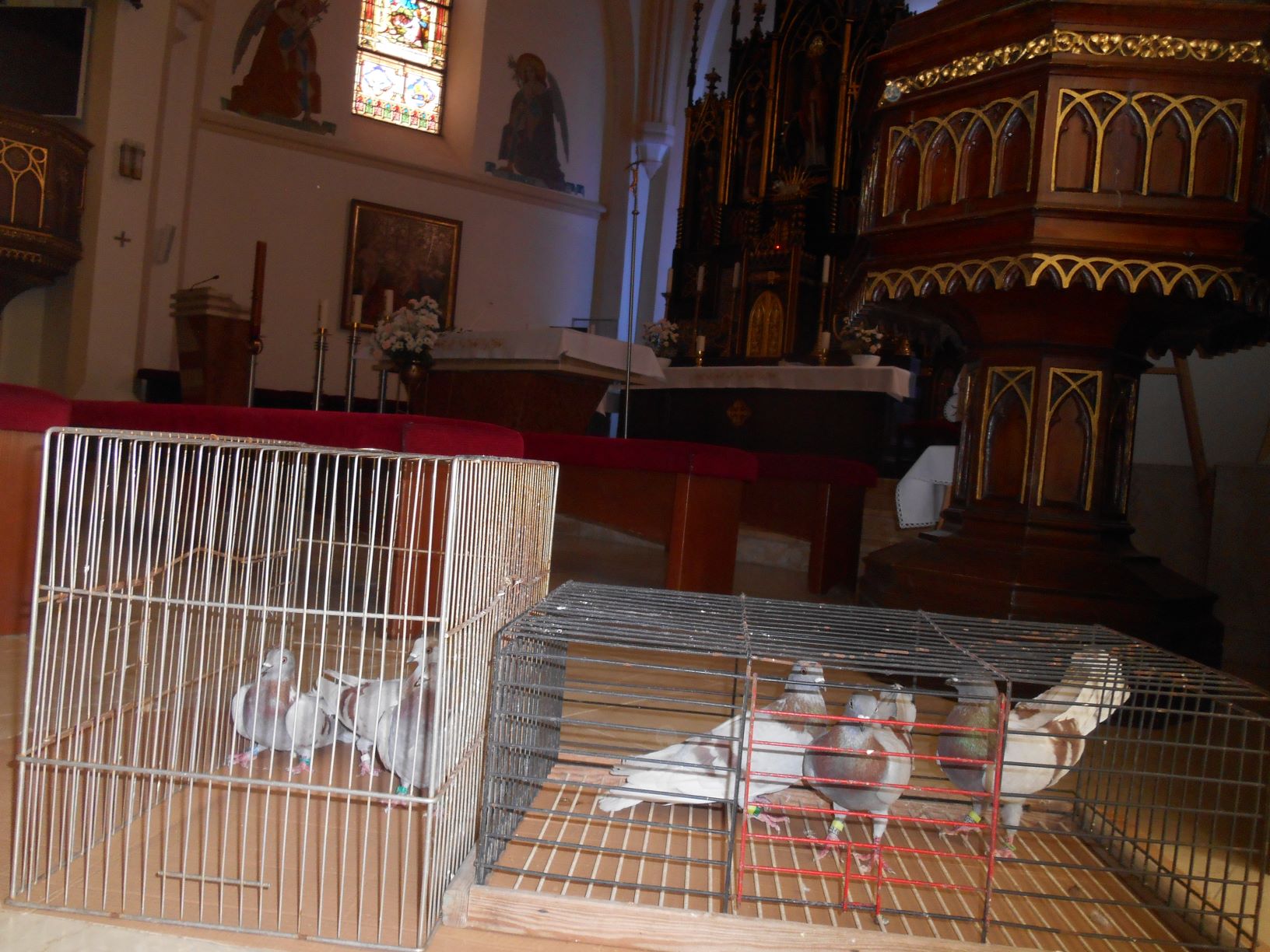 DSCN5321 21.5.2020