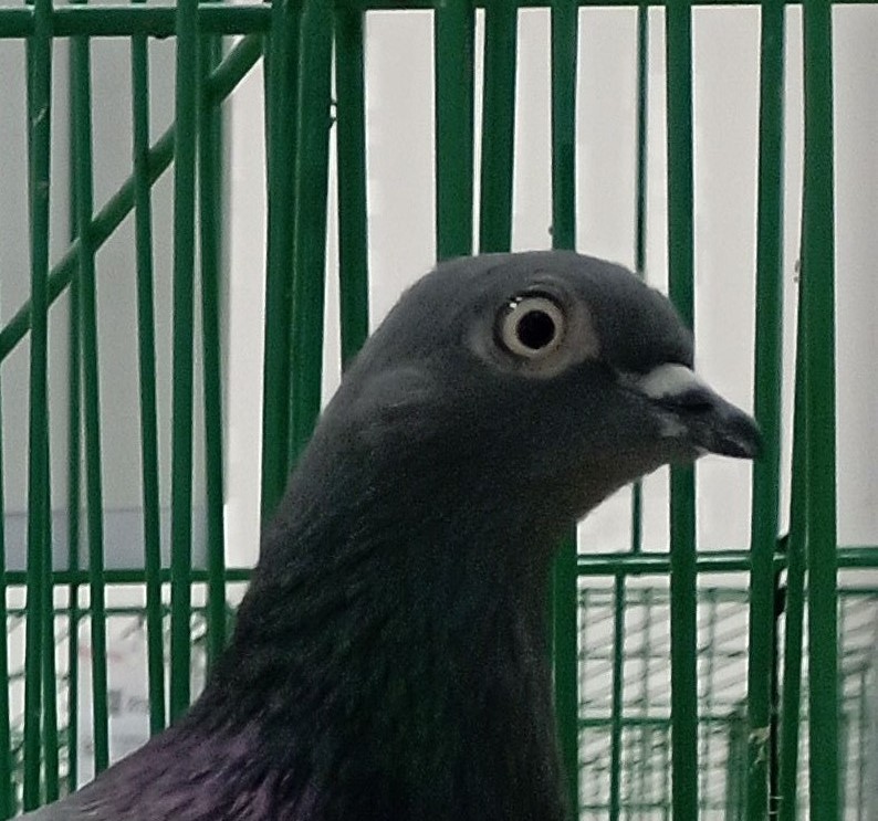 IMG_20251108_0937092