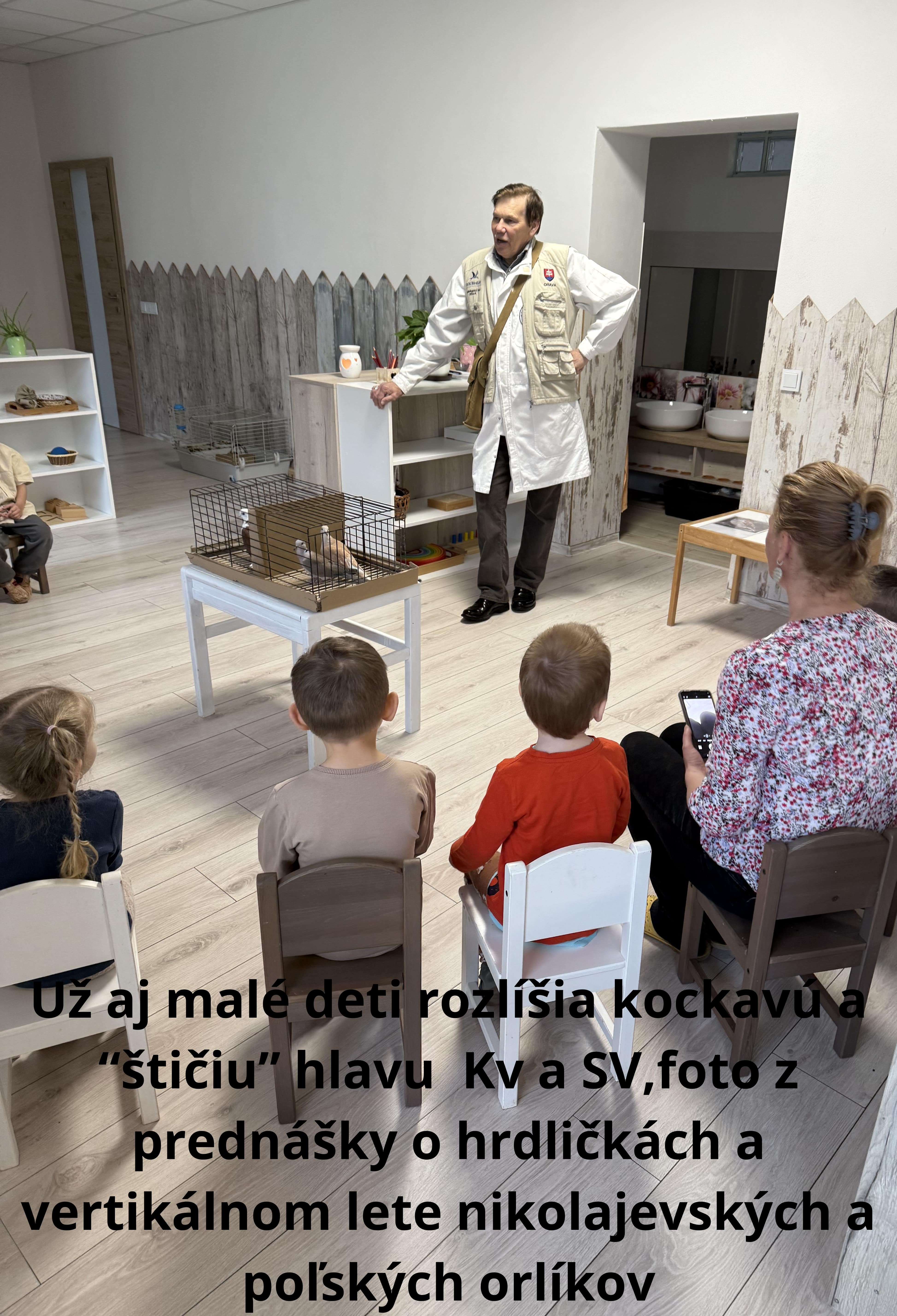 holuby na stránku11