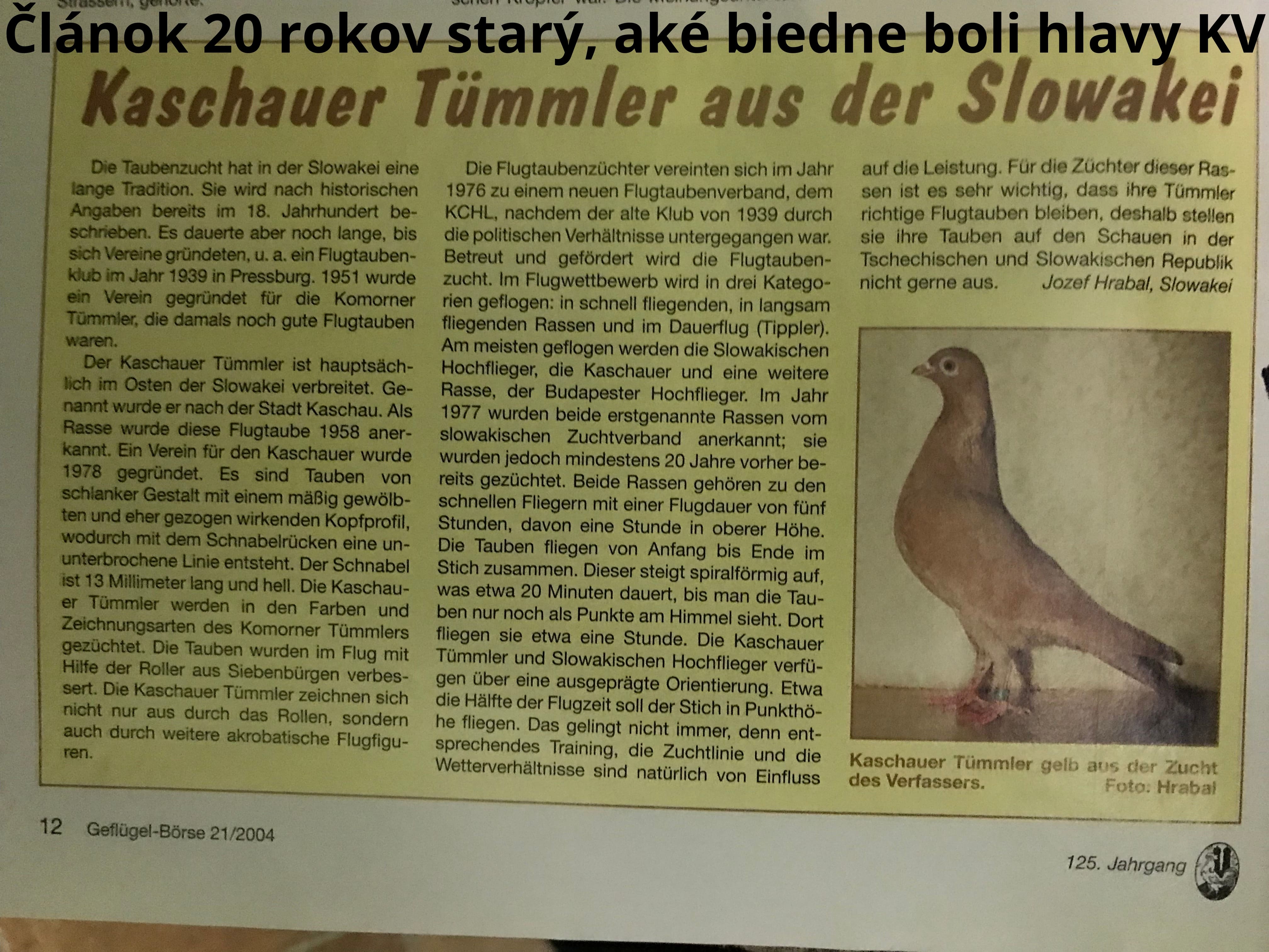 holuby na stránku14