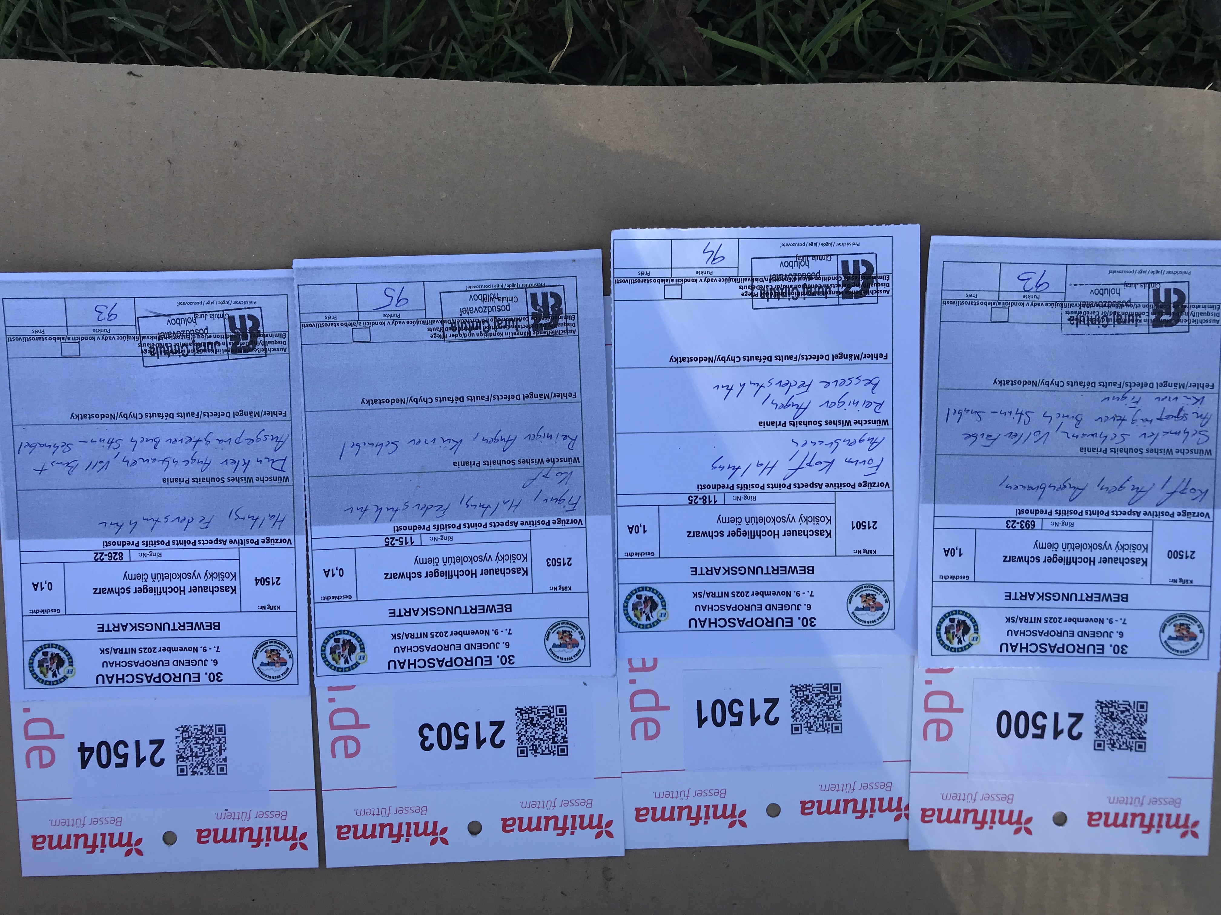 doporučenie kratšie zobáky je spornéIMG_3137