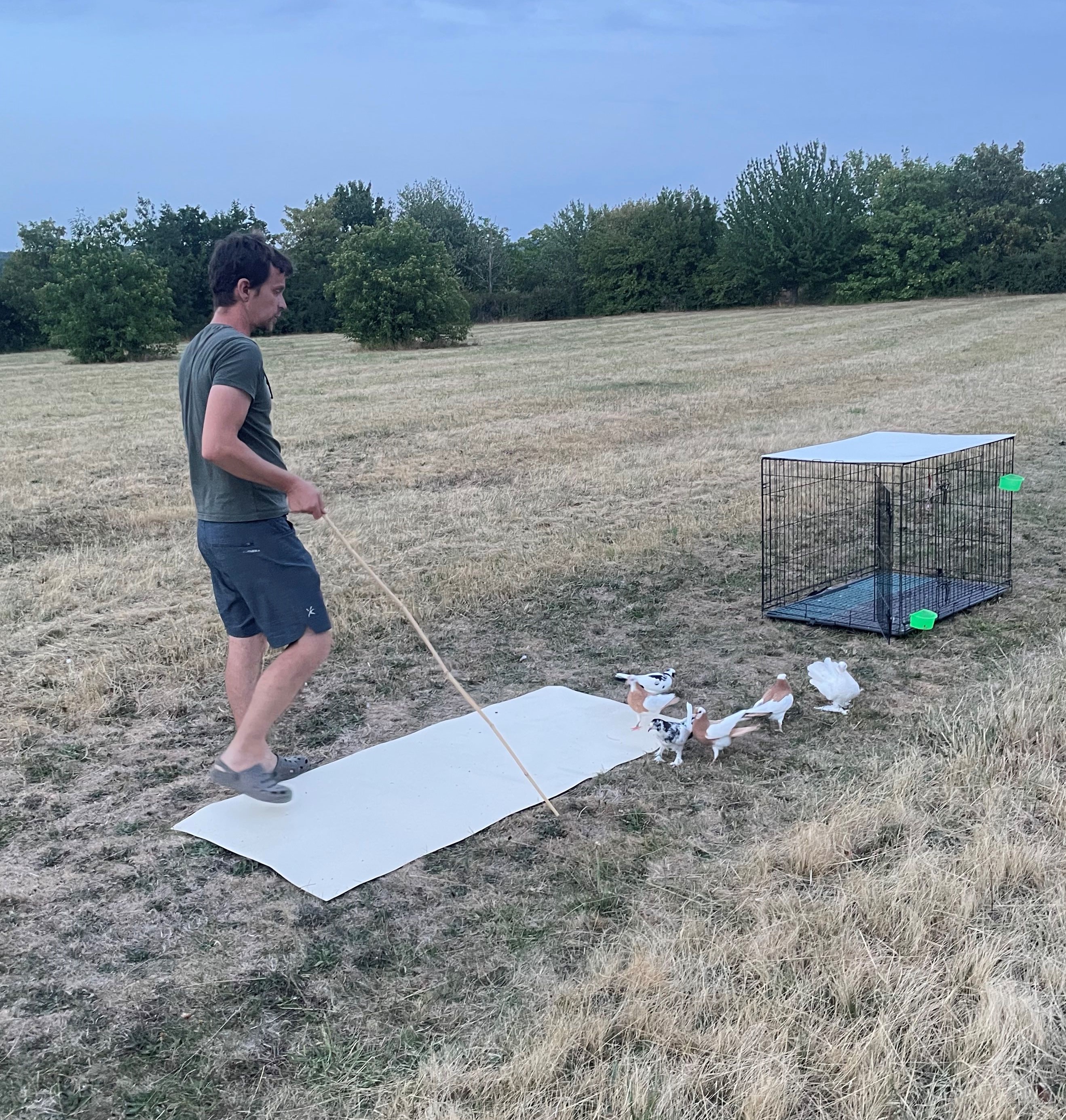IMG_6322