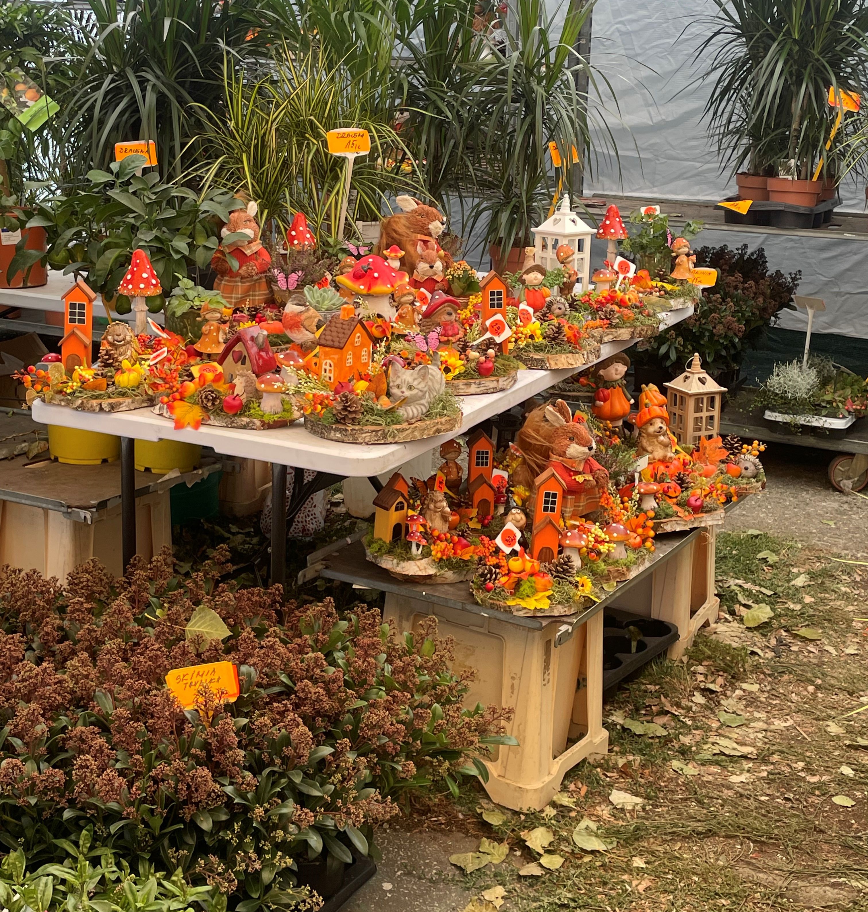 IMG_6861