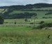 IMG_0281