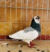 IMG_E7024